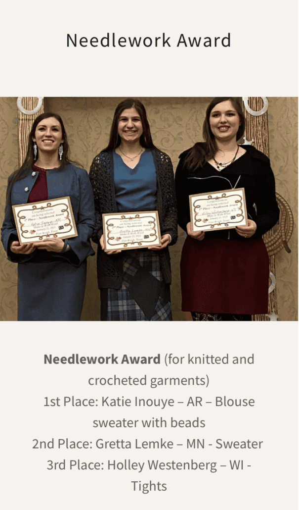 Image from the make it with wool needlework awards